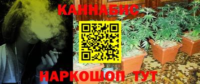 МДПВ Кингисепп