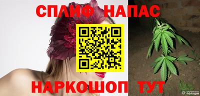 МДПВ Кингисепп