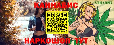 МДПВ Кингисепп