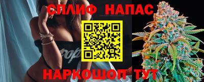 МДПВ Кингисепп