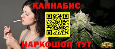 МДПВ Кингисепп