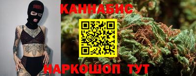 МДПВ Кингисепп
