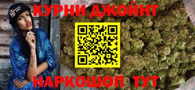 МДПВ Кингисепп